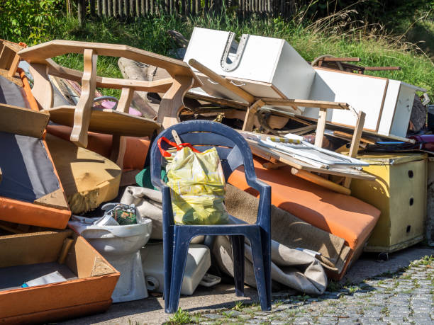 Best Professional Junk Removal  in San Lorenzo, CA