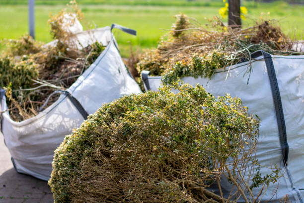 Best Dumpster Rental Services  in San Lorenzo, CA