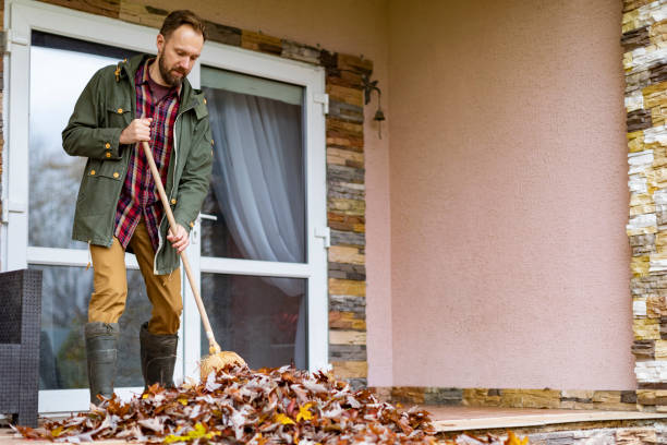Best Electronics Removal Services  in San Lorenzo, CA